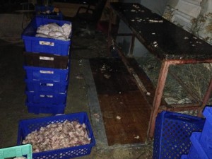 07c18f9f-cf2a-4c84-8e22-2706ec622a08