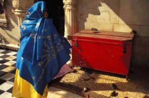 11143244_813197518775486_5532316203471823012_n