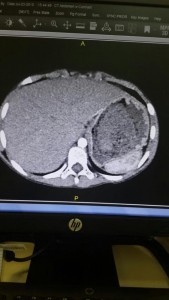 11802076_964393730265594_34025256_n