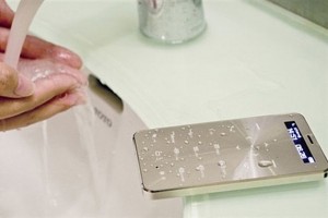 11802076_964393730265594_34025256_n