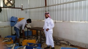 1f8e4ed6-8d75-4c33-8f86-76438041f656