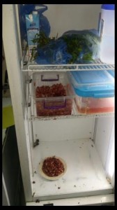 4c1a8360-a0c9-4e45-b219-5cae1ed1c721