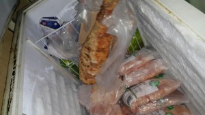 e0385c38-a034-4194-8983-494dfaa2ccbf