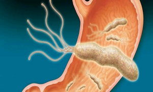 ed6ff90f-8860-4b39-b462-07b163de24aa