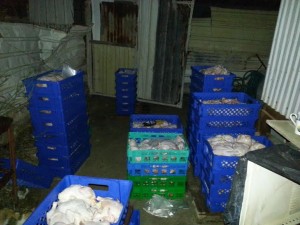 f07507c1-9c9b-44fc-8ee8-51584dcf5bfd