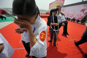 free-2928674056985516140