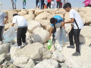 free-2928674056985516140