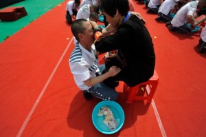 free-531482895139801473