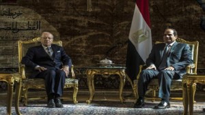 السيسي و السبسي من القاهرة الاتفاق على تسويه شاملة للصراع في سوريا