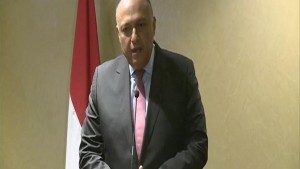 لا نستبعد أية فرضيات حول حادث الطائرة