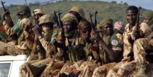 مسلحون من بوكو حرام يقتلون 11 جندياً تشادياً