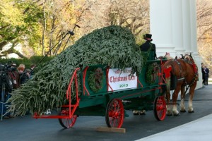 وصول الشجرة